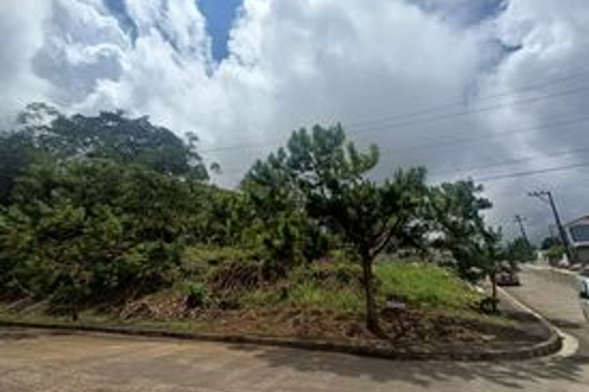 Land for Sale in San Luis Village, Baguio, Benguet – photo 2