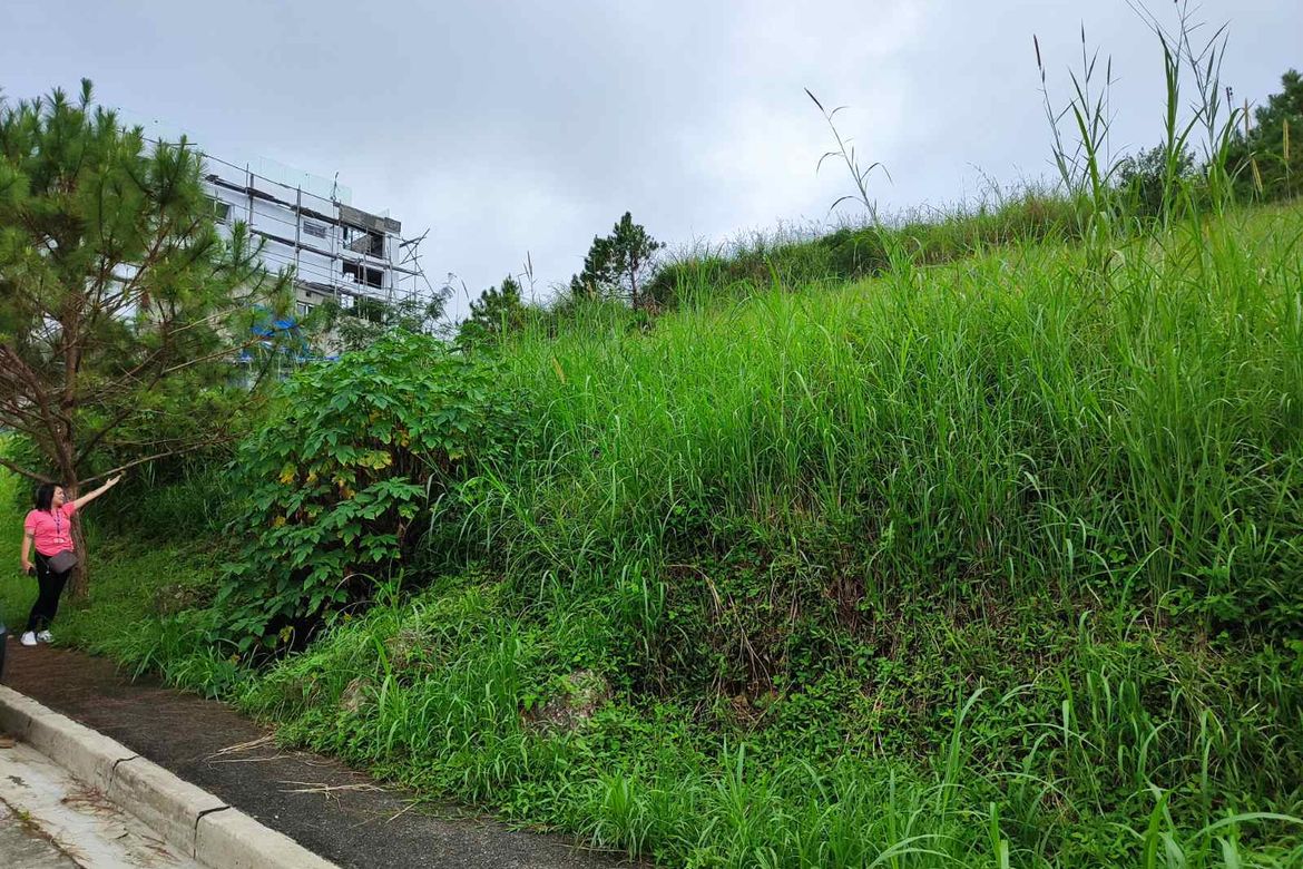 Land for Sale in San Luis Village, Baguio, Benguet – photo 2