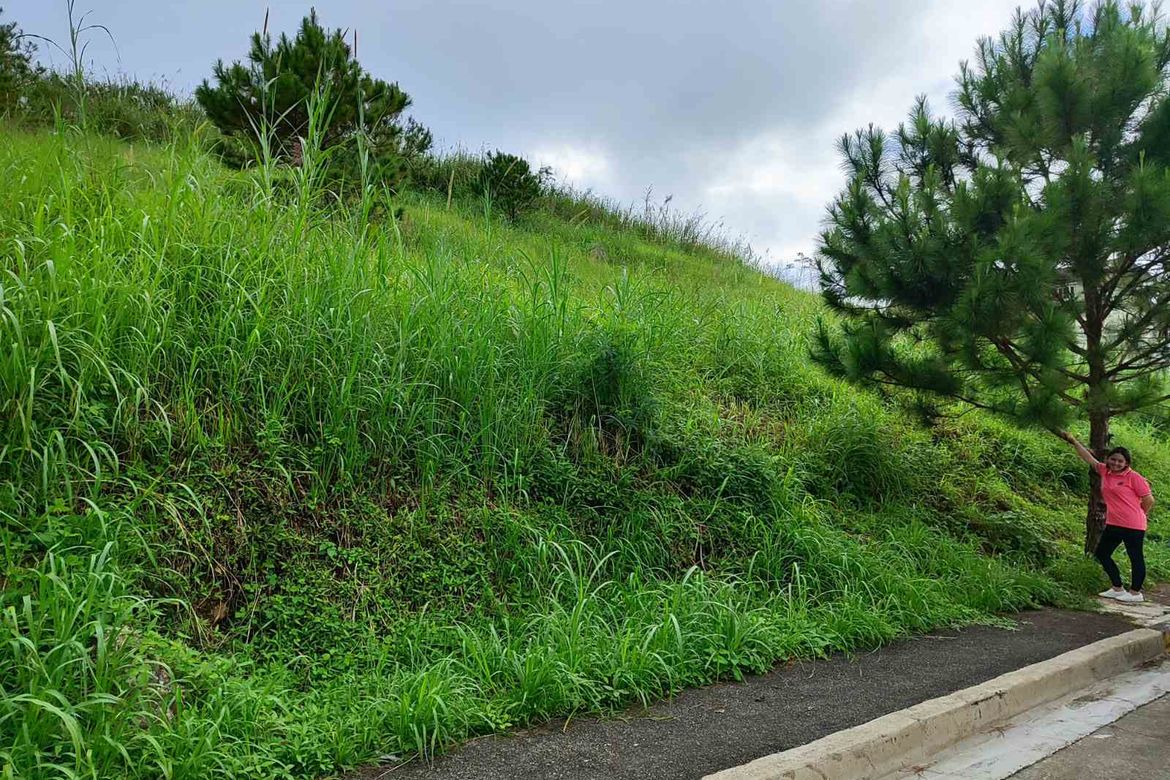 Land for Sale in San Luis Village, Baguio, Benguet – photo 3