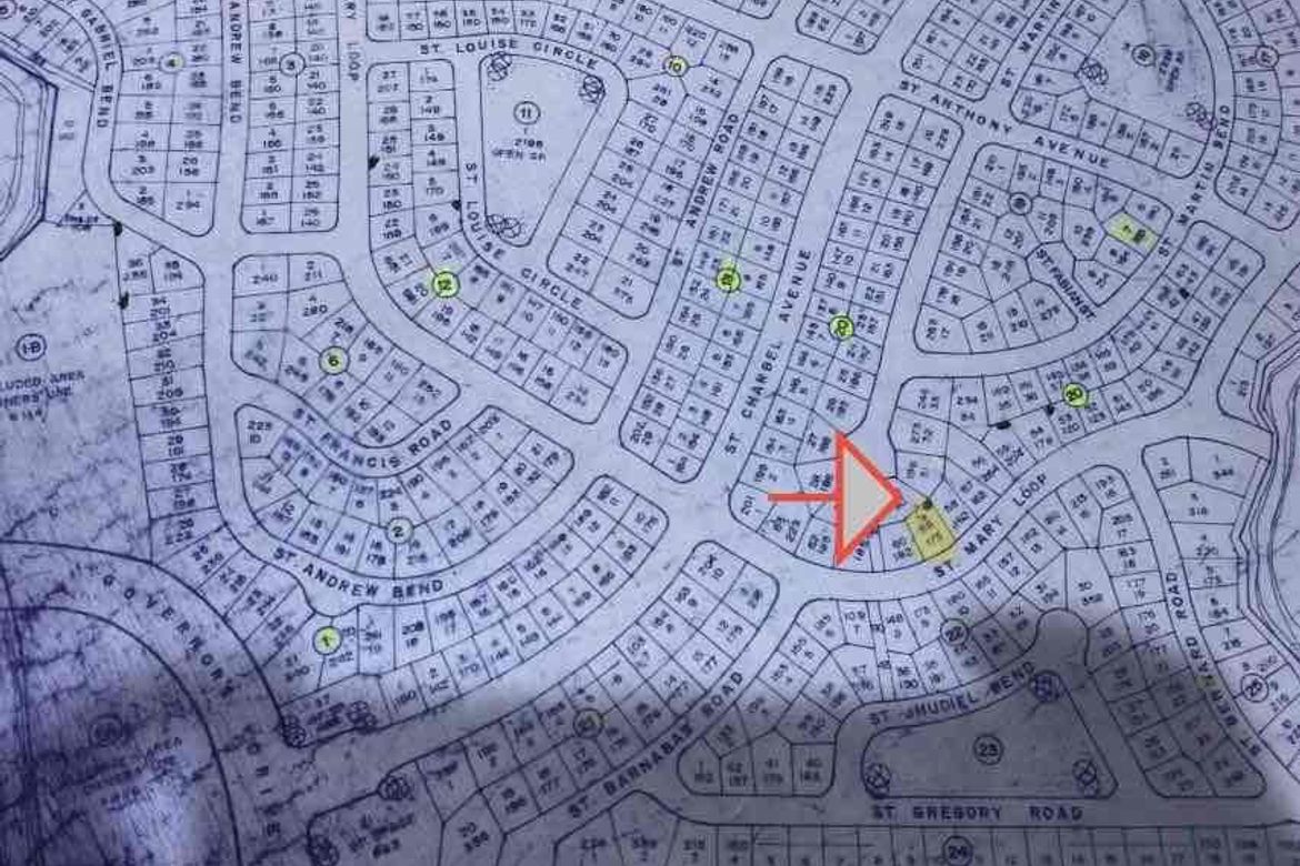 Land for Sale in San Manuel I, Dasmariñas, Cavite – photo 3