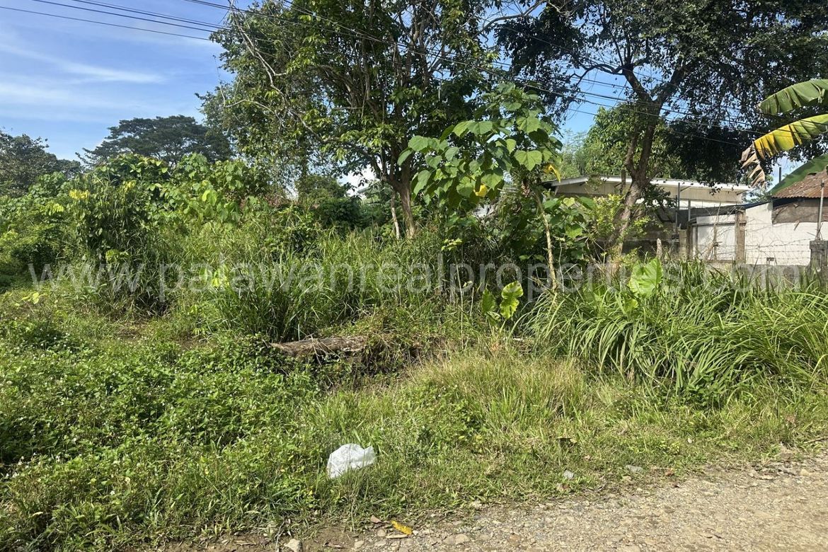 Land for Sale in San Manuel, Puerto Princesa, Palawan – photo 2