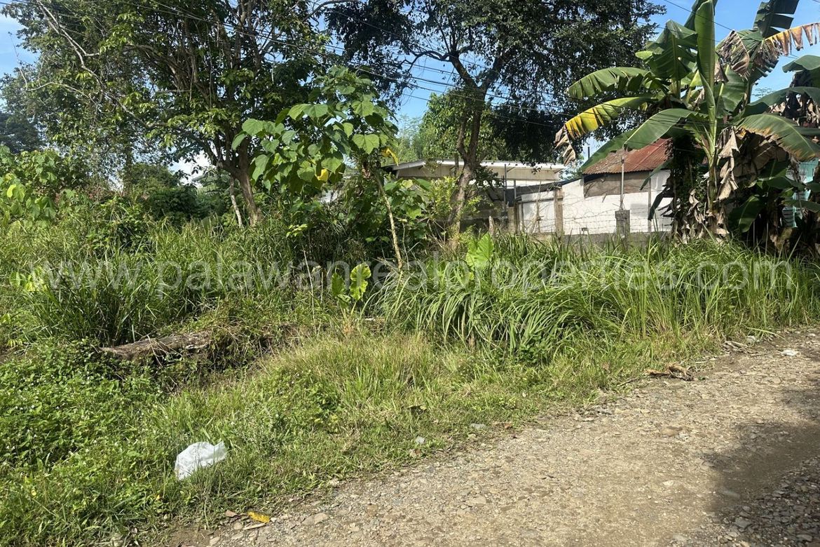 Land for Sale in San Manuel, Puerto Princesa, Palawan – photo 3