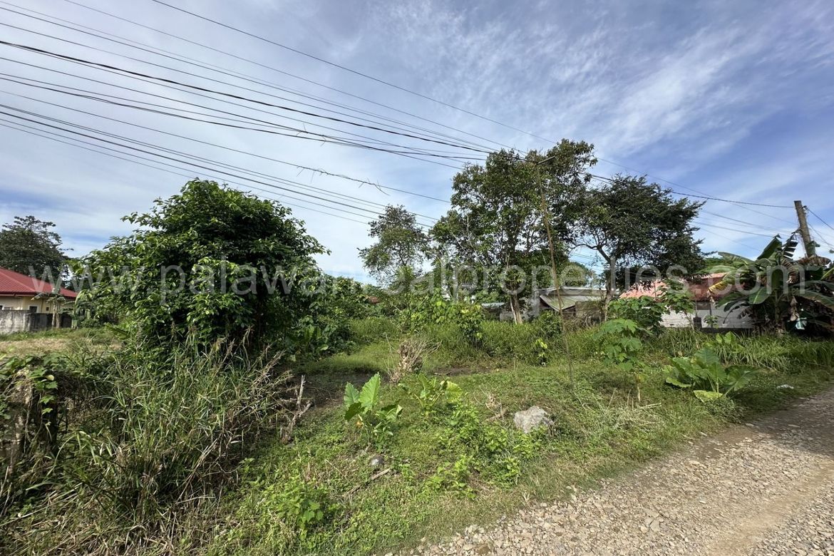Land for Sale in San Manuel, Puerto Princesa, Palawan – photo 4