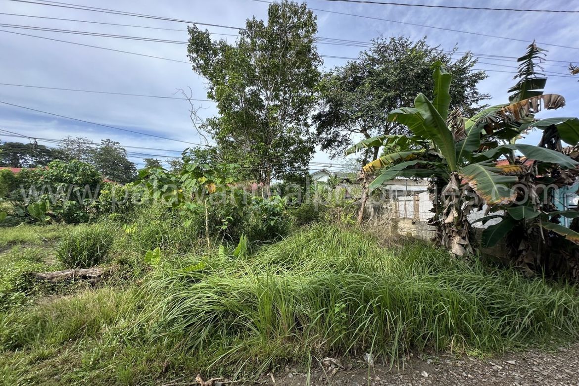 Land for Sale in San Manuel, Puerto Princesa, Palawan – photo 7