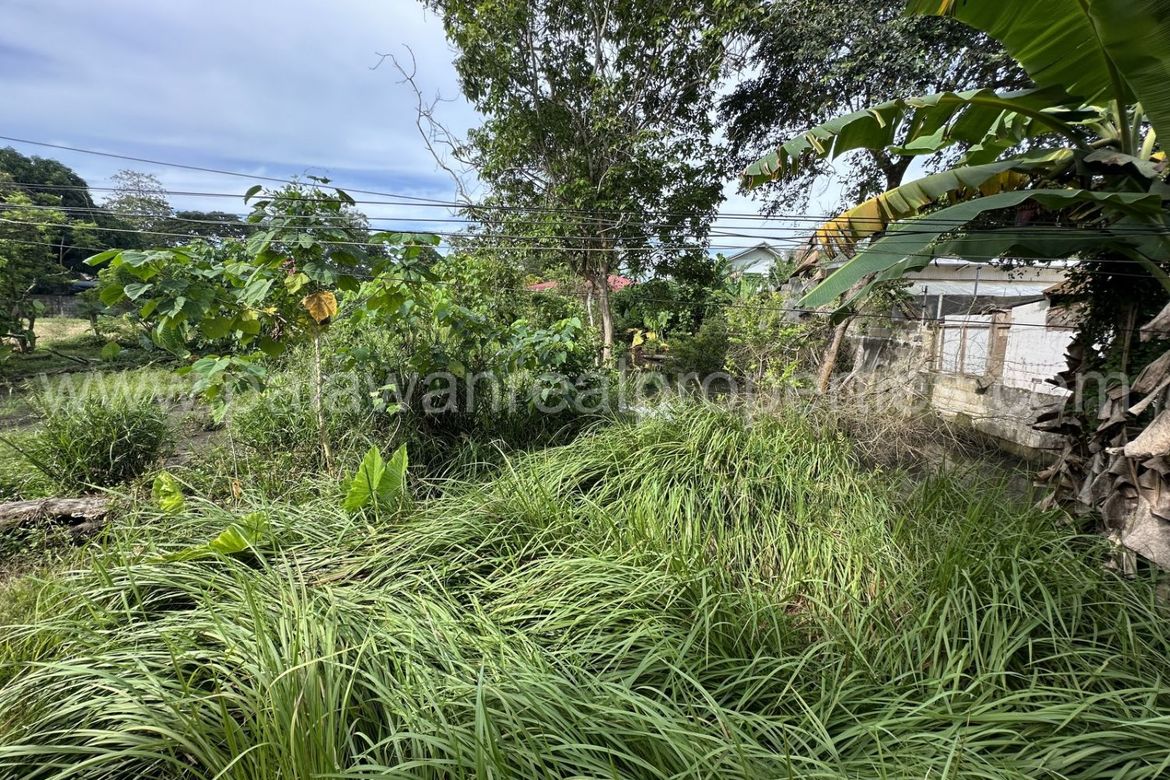 Land for Sale in San Manuel, Puerto Princesa, Palawan – photo 8
