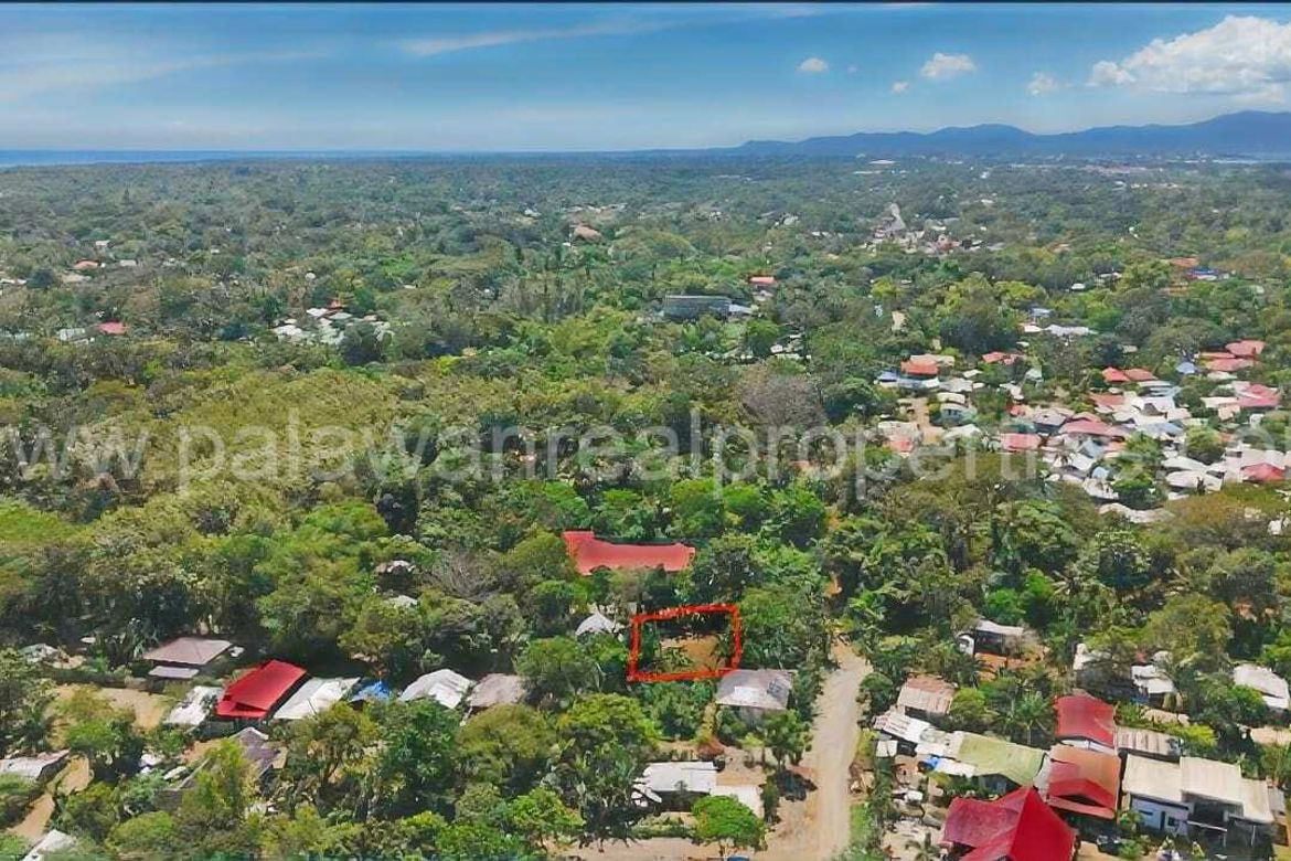 Land for Sale in San Manuel, Puerto Princesa, Palawan – photo 2