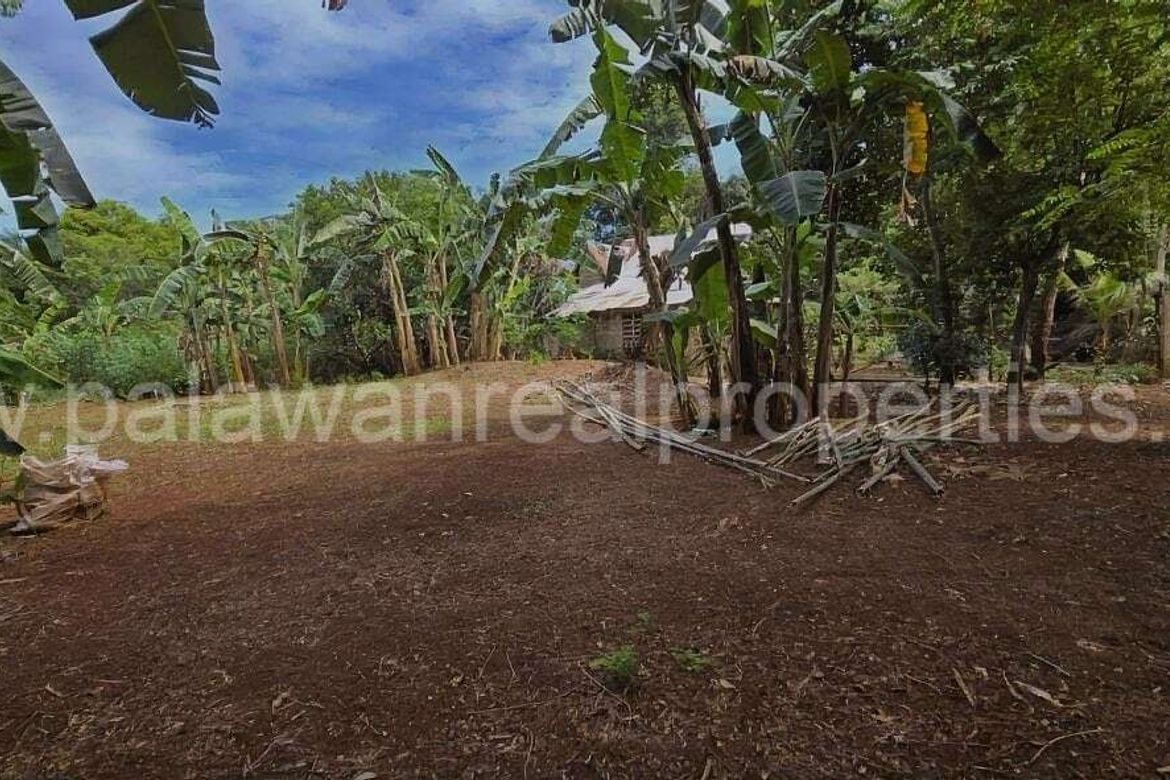 Land for Sale in San Manuel, Puerto Princesa, Palawan – photo 4