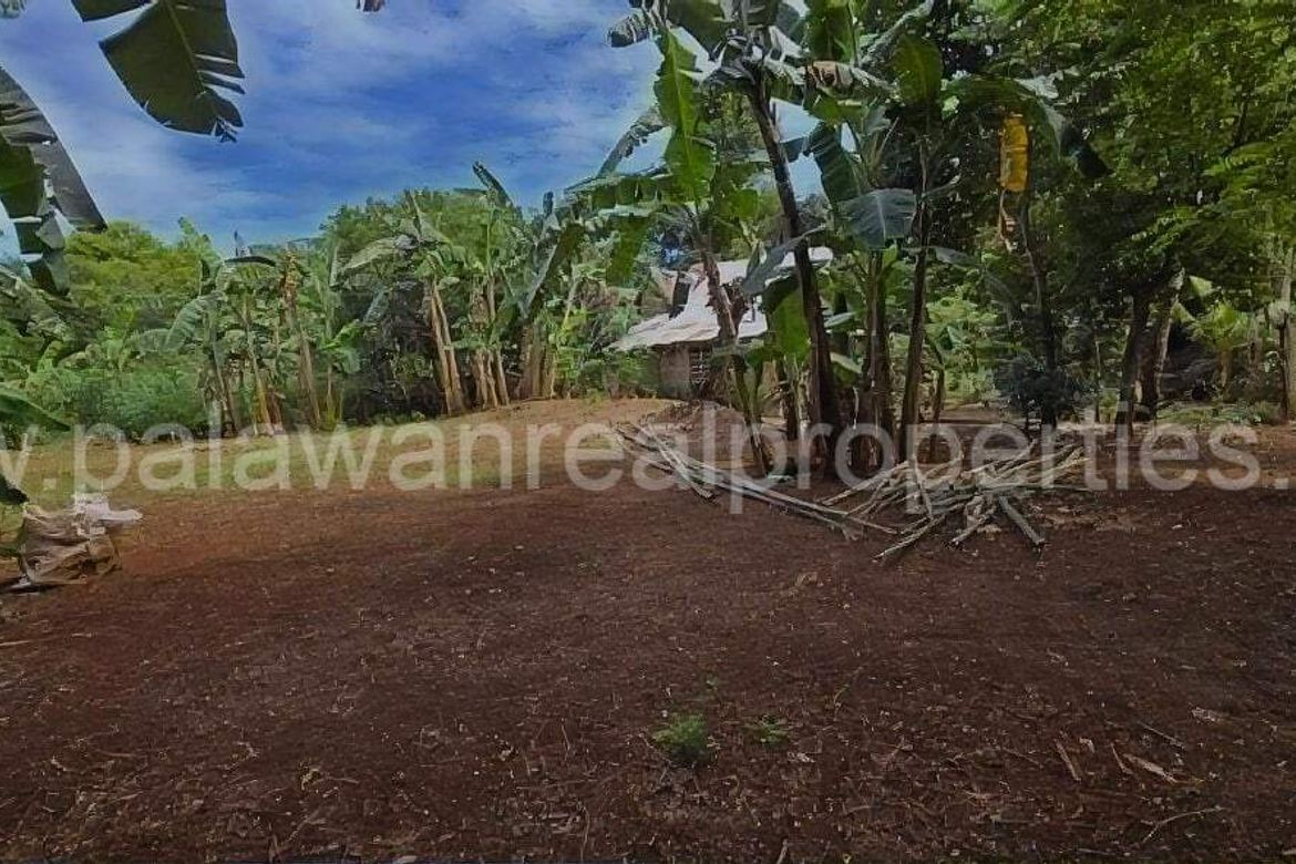 Land for Sale in San Manuel, Puerto Princesa, Palawan – photo 6