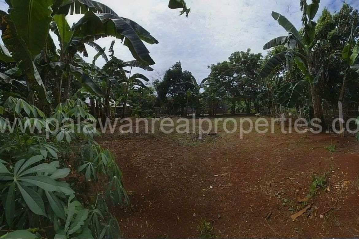 Land for Sale in San Manuel, Puerto Princesa, Palawan – photo 8
