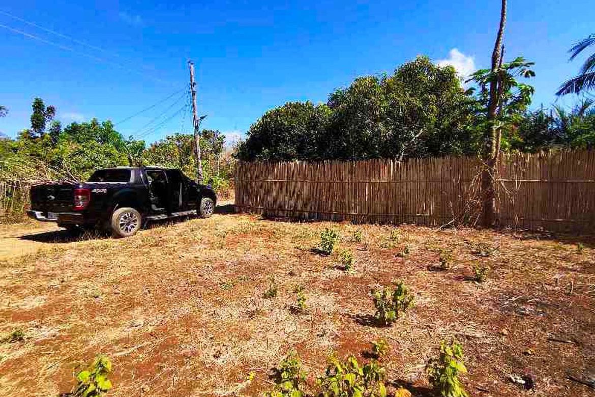 Land for Sale in San Manuel, Puerto Princesa, Palawan – photo 2