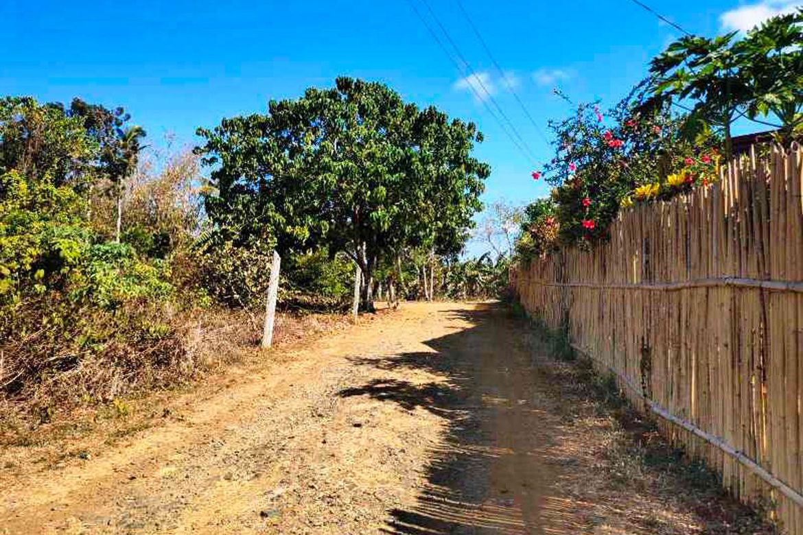 Land for Sale in San Manuel, Puerto Princesa, Palawan – photo 4