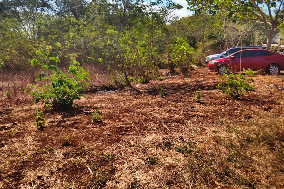 Land for Sale in San Manuel, Puerto Princesa, Palawan – photo 6