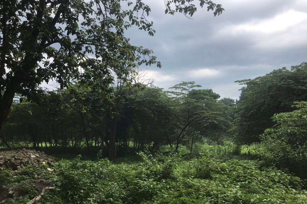 Land for Sale in San Manuel, San Jose del Monte, Bulacan