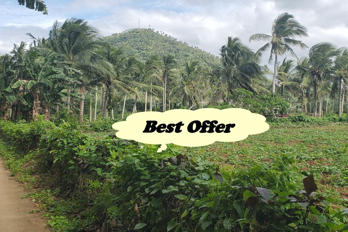 Land for Sale in San Marcos, San Pablo, Laguna