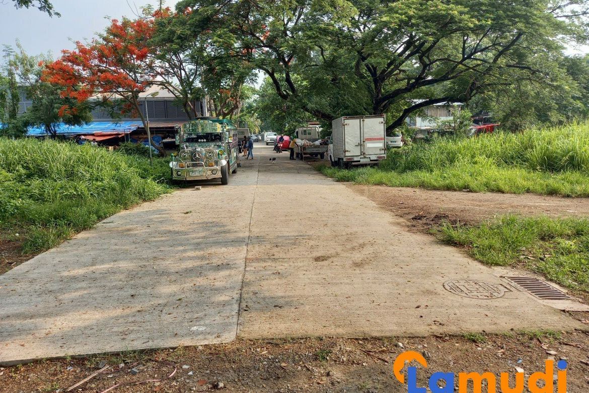 Land for Sale in San Martin de Porres, Parañaque, Metro Manila