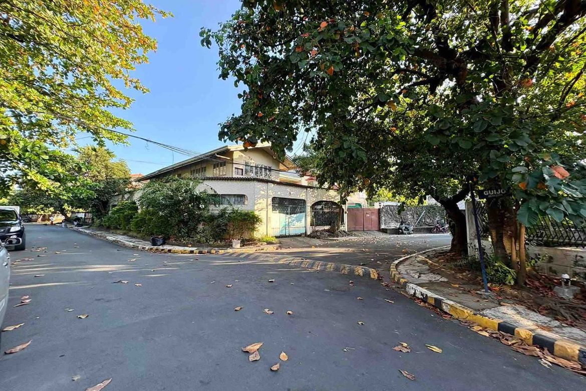 Land for Sale in San Martin de Porres, Parañaque, Metro Manila – photo 2