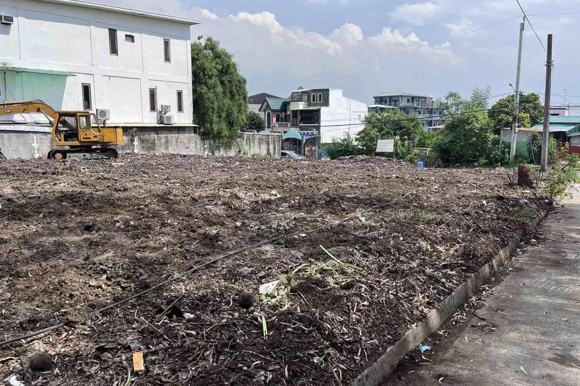 Land for Sale in San Martin de Porres, Parañaque, Metro Manila – photo 3