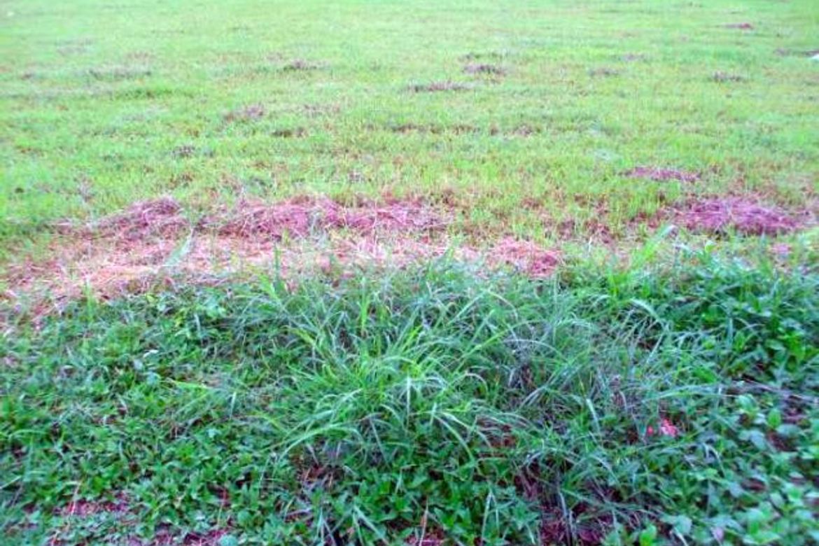 Land for Sale in San Martin de Porres, Quezon City, Metro Manila near MRT-3 Araneta Center-Cubao – photo 4