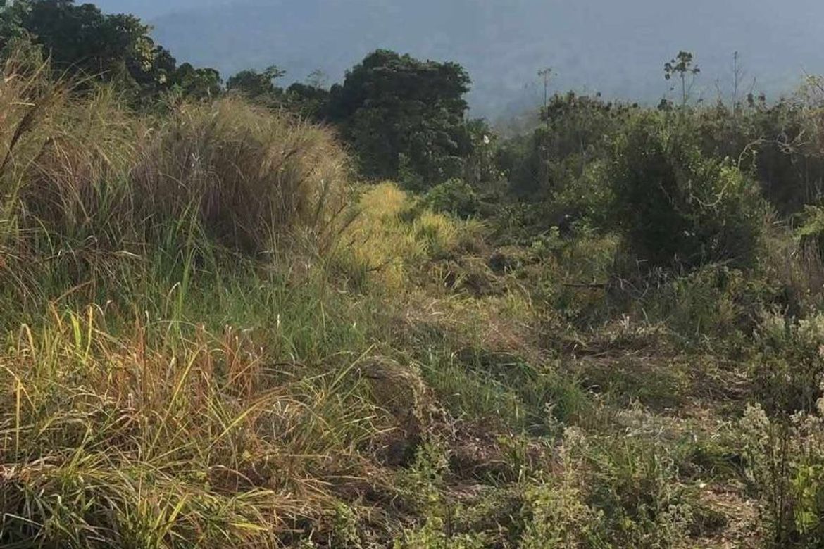 Land for Sale in San Mateo, Arayat, Pampanga – photo 4