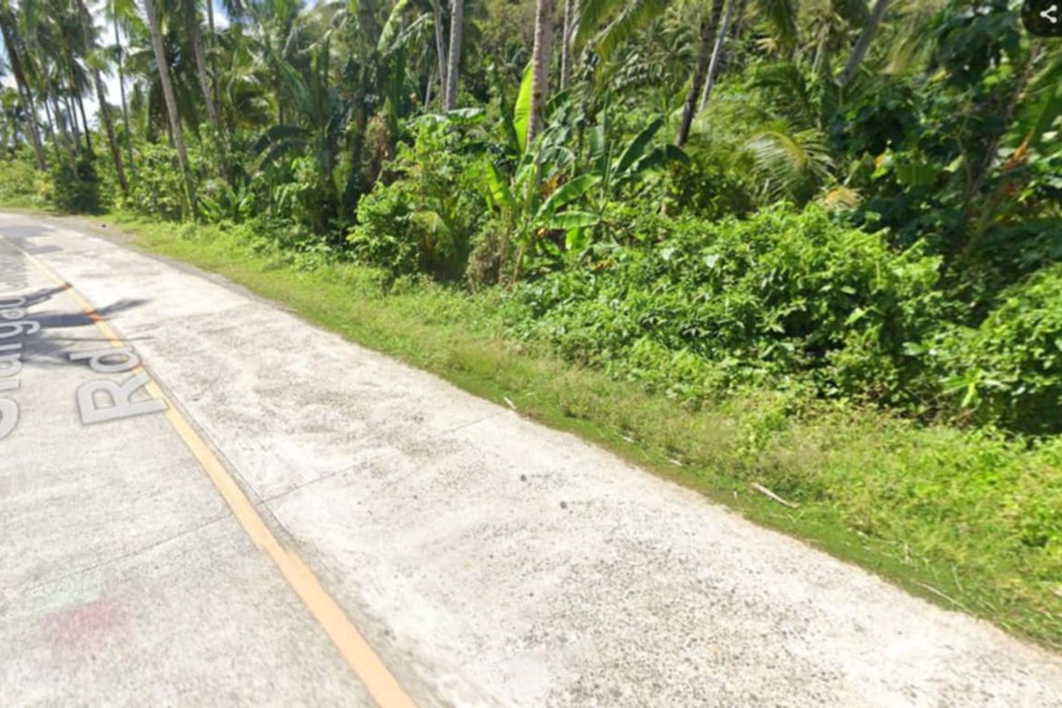 Land for Sale in San Mateo, Burgos, Surigao del Norte – photo 3