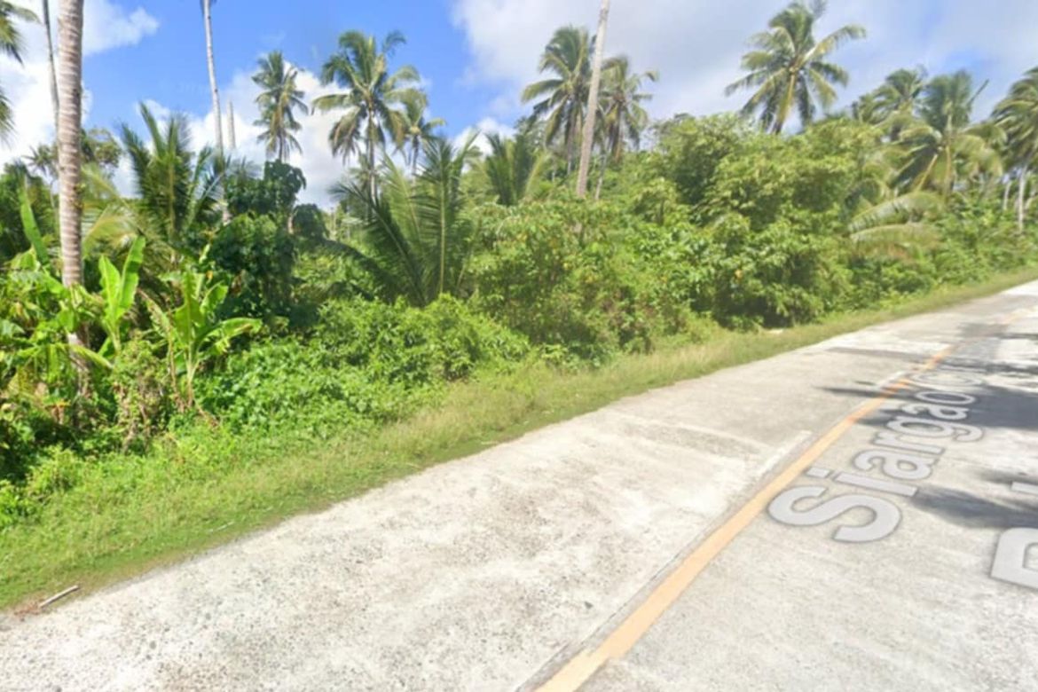 Land for Sale in San Mateo, Burgos, Surigao del Norte – photo 5
