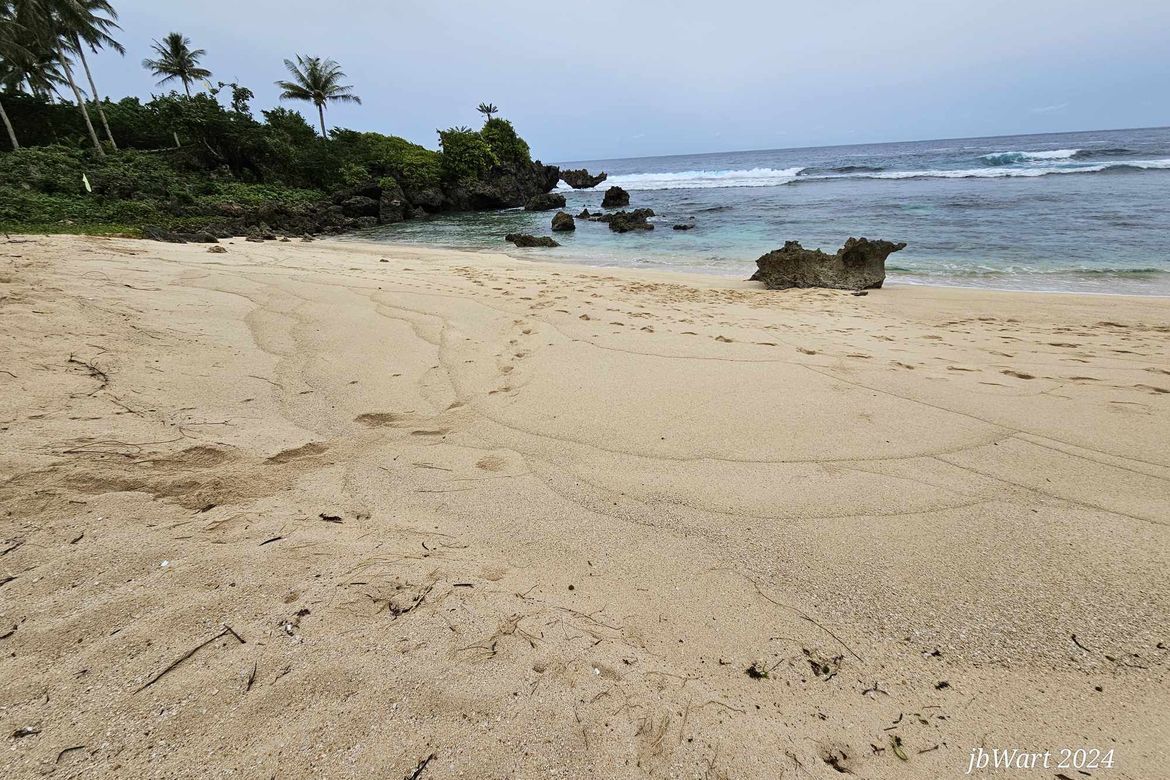 Land for Sale in San Mateo, Burgos, Surigao del Norte – photo 10