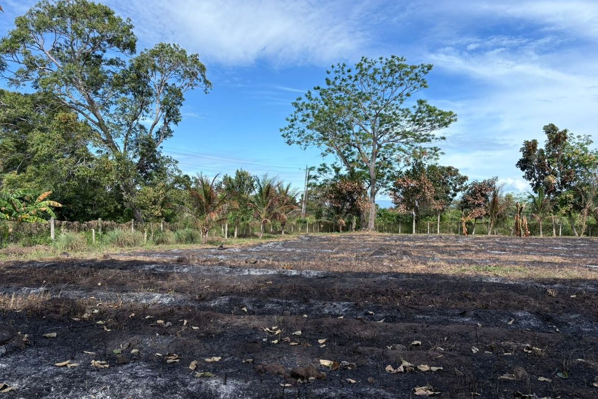 Land for Sale in San Miguel, Bacong, Negros Oriental – photo 2