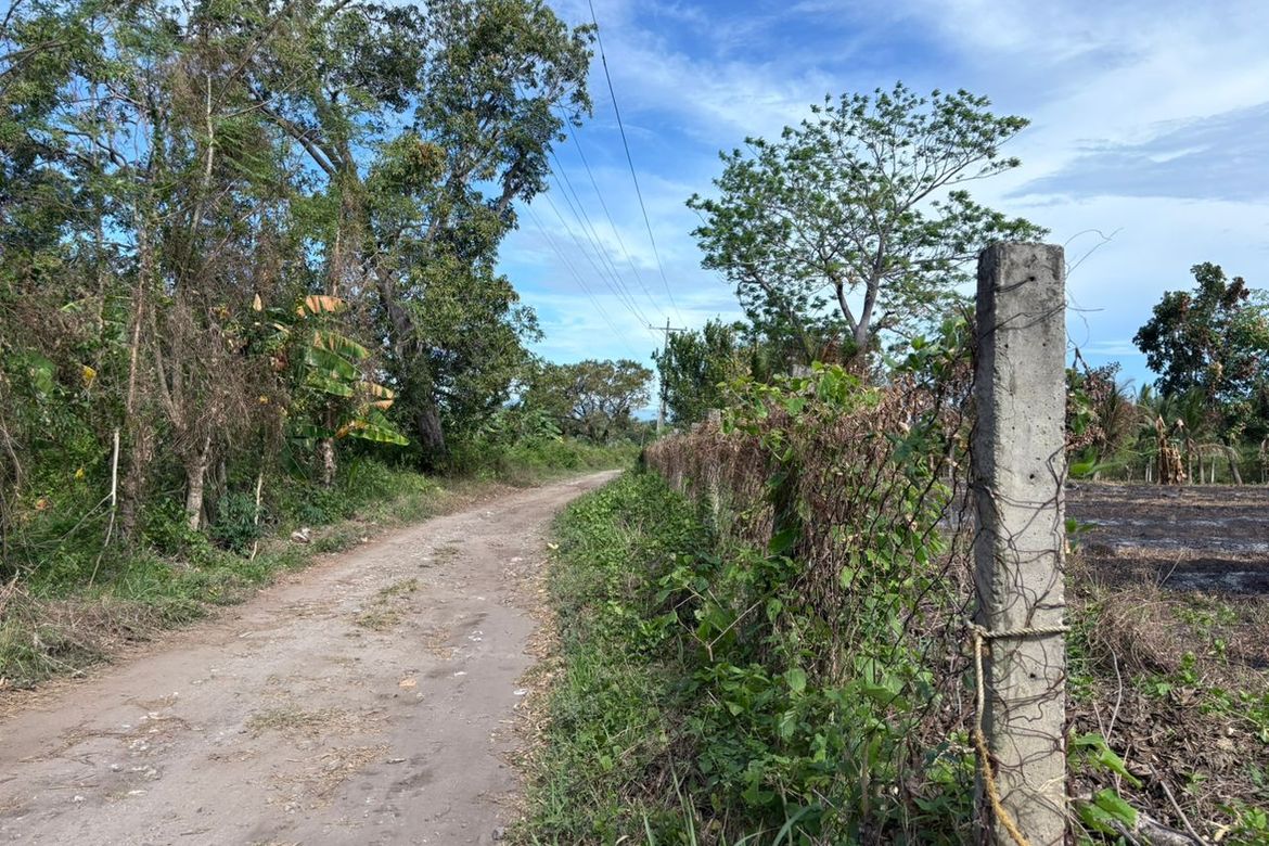 Land for Sale in San Miguel, Bacong, Negros Oriental – photo 5