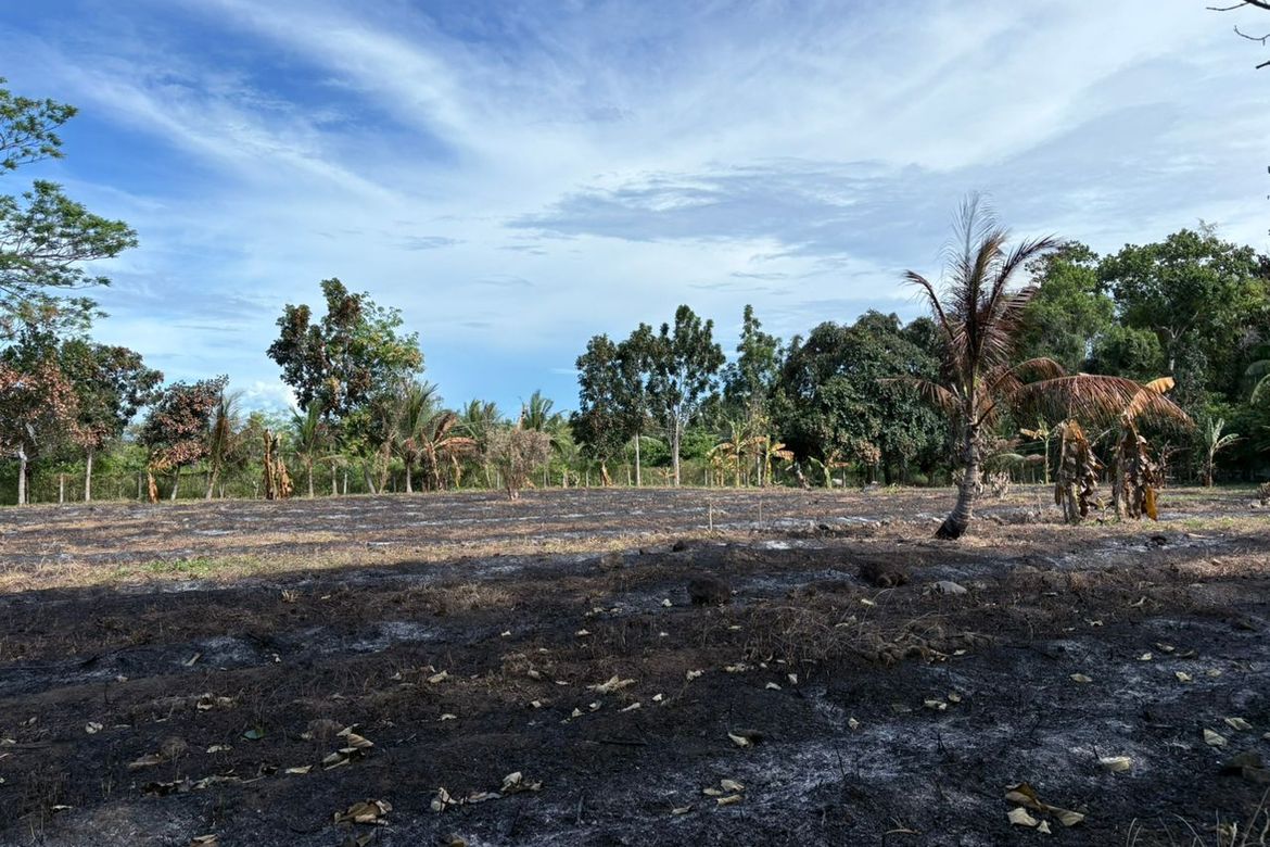 Land for Sale in San Miguel, Bacong, Negros Oriental – photo 6