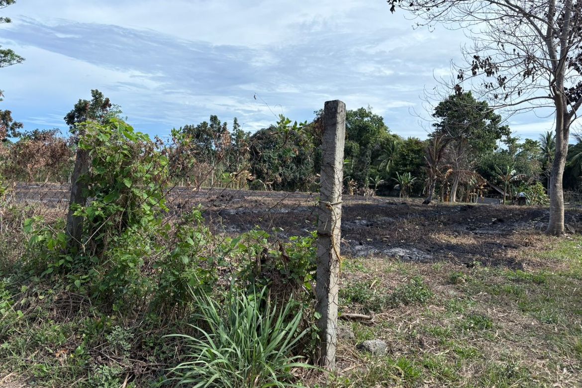 Land for Sale in San Miguel, Bacong, Negros Oriental – photo 7