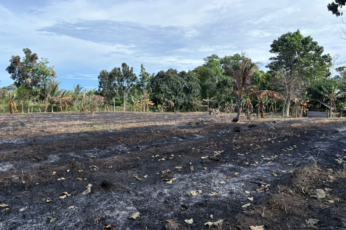 Land for Sale in San Miguel, Bacong, Negros Oriental – photo 8