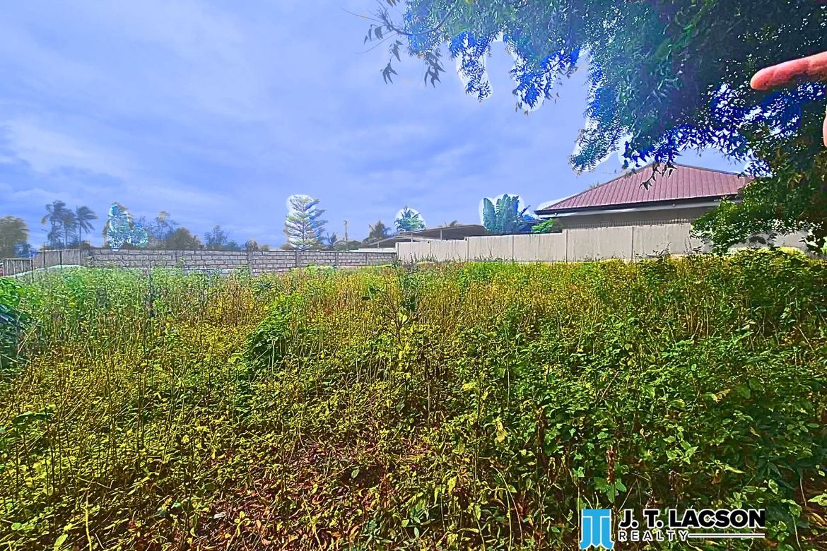 Land for Sale in San Miguel, Bacong, Negros Oriental – photo 3