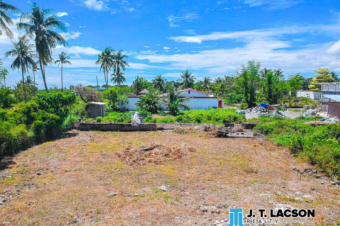 Land for Sale in San Miguel, Bacong, Negros Oriental – photo 6