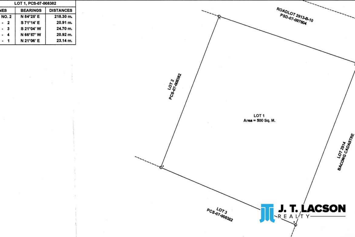 Land for Sale in San Miguel, Bacong, Negros Oriental – photo 7