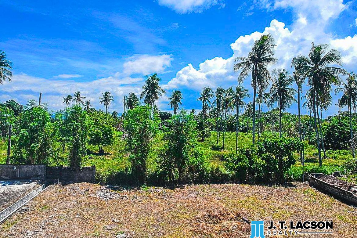 Land for Sale in San Miguel, Bacong, Negros Oriental – photo 8