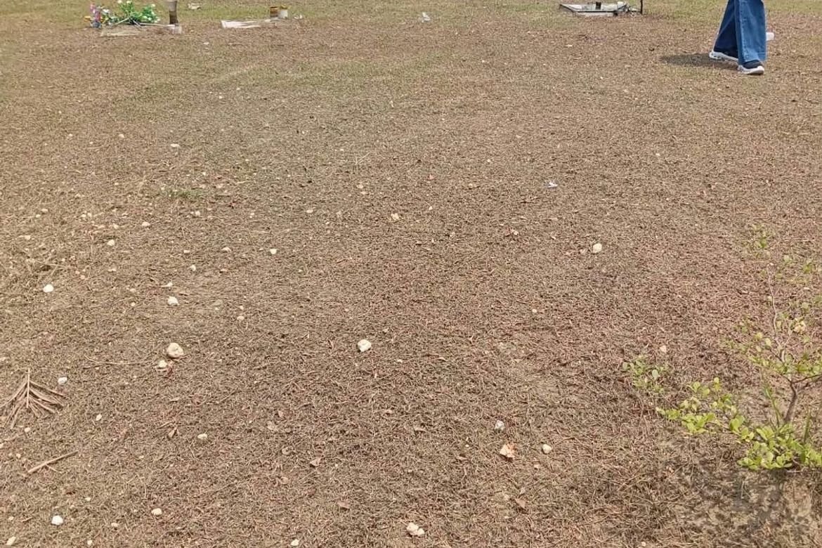 Land for Sale in San Miguel, Cordoba, Cebu – photo 4
