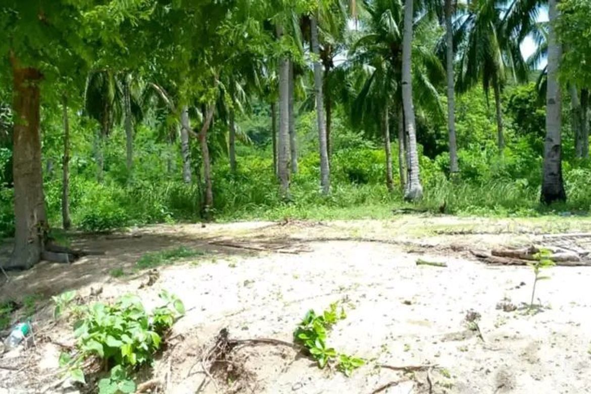 Land for Sale in San Miguel, Puerto Princesa, Palawan – photo 3