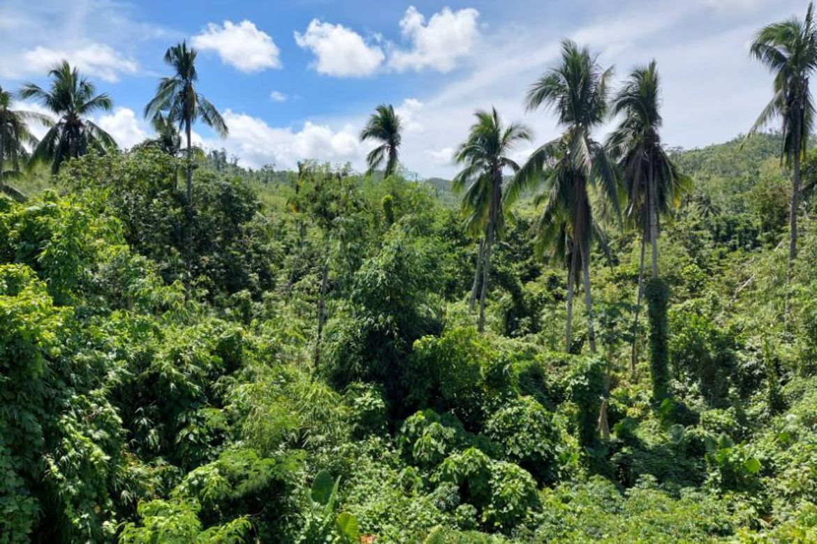 Land for Sale in San Miguel, Puerto Princesa, Palawan