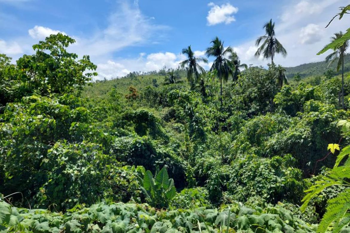 Land for Sale in San Miguel, Puerto Princesa, Palawan – photo 2