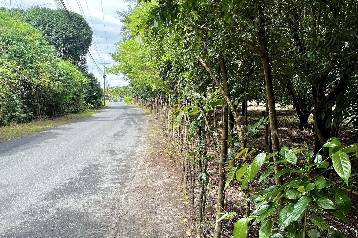 Land for Sale in San Miguel, San Antonio, Zambales – photo 3