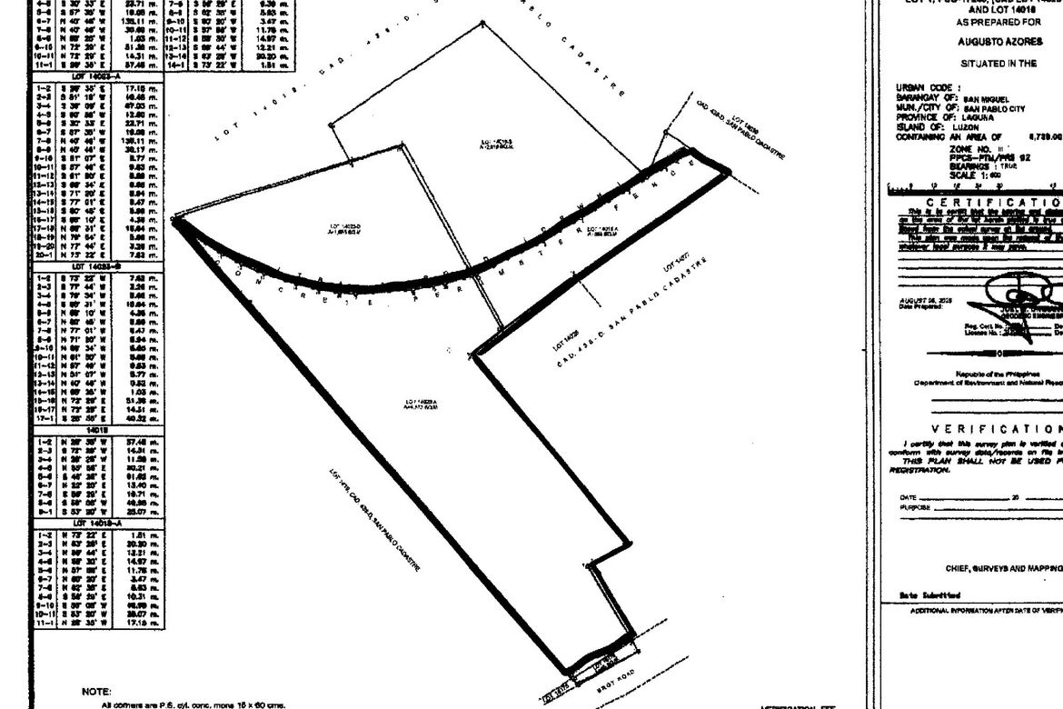 Land for Sale in San Miguel, San Pablo, Laguna – photo 3