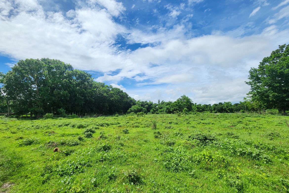Land for Sale in San Miguel, Santo Tomas, Batangas – photo 3