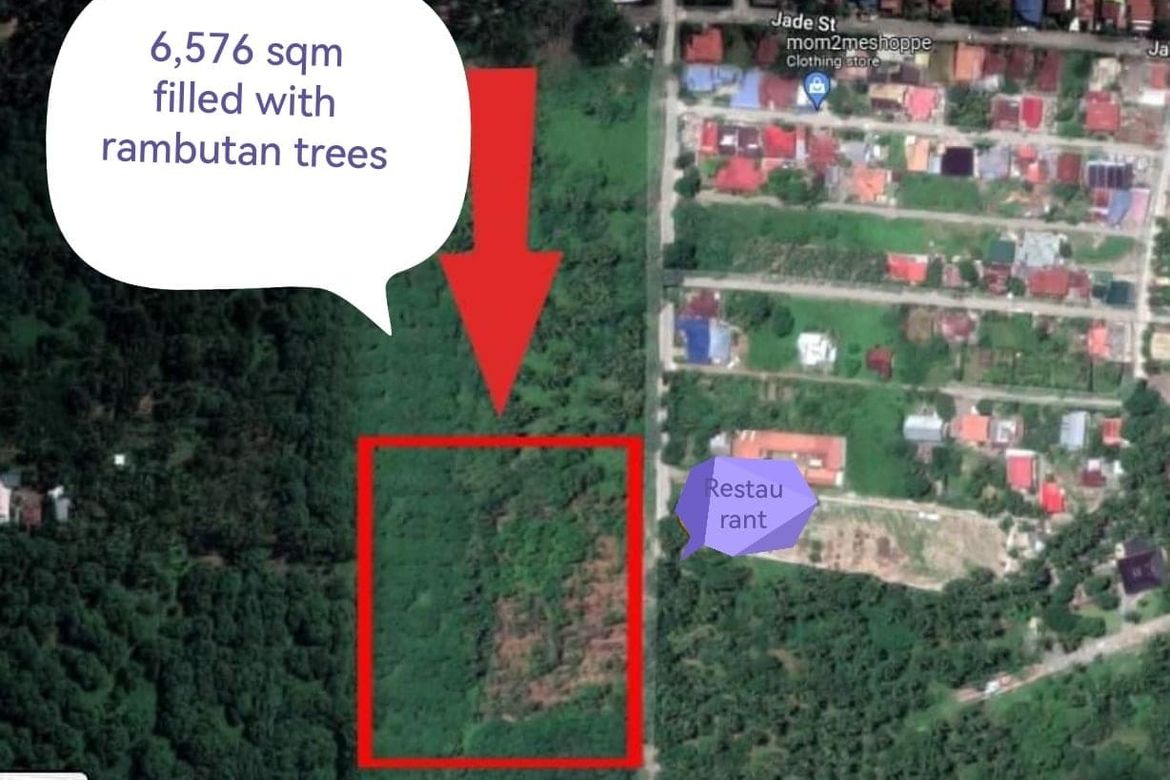 Land for Sale in San Miguel, Tagum, Davao del Norte – photo 3
