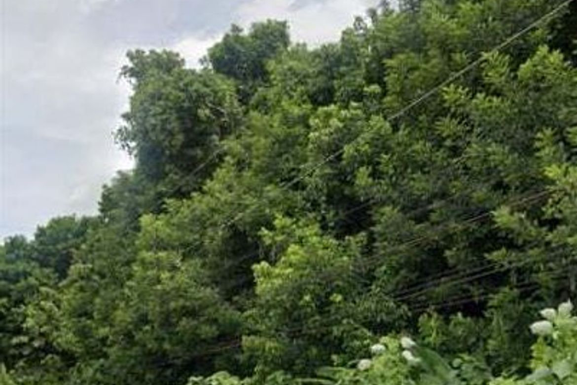 Land for Sale in San Miguel, Tagum, Davao del Norte – photo 5