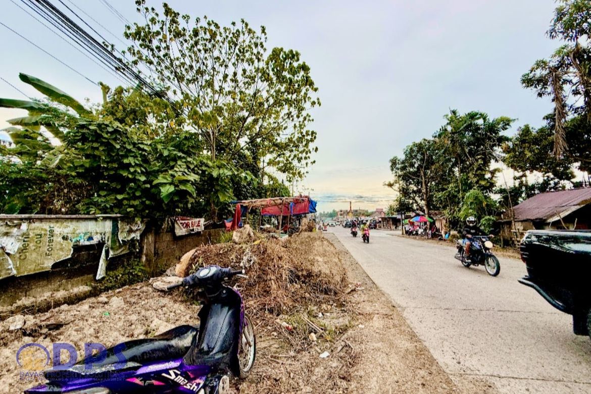 Land for Sale in San Miguel, Tagum, Davao del Norte – photo 3