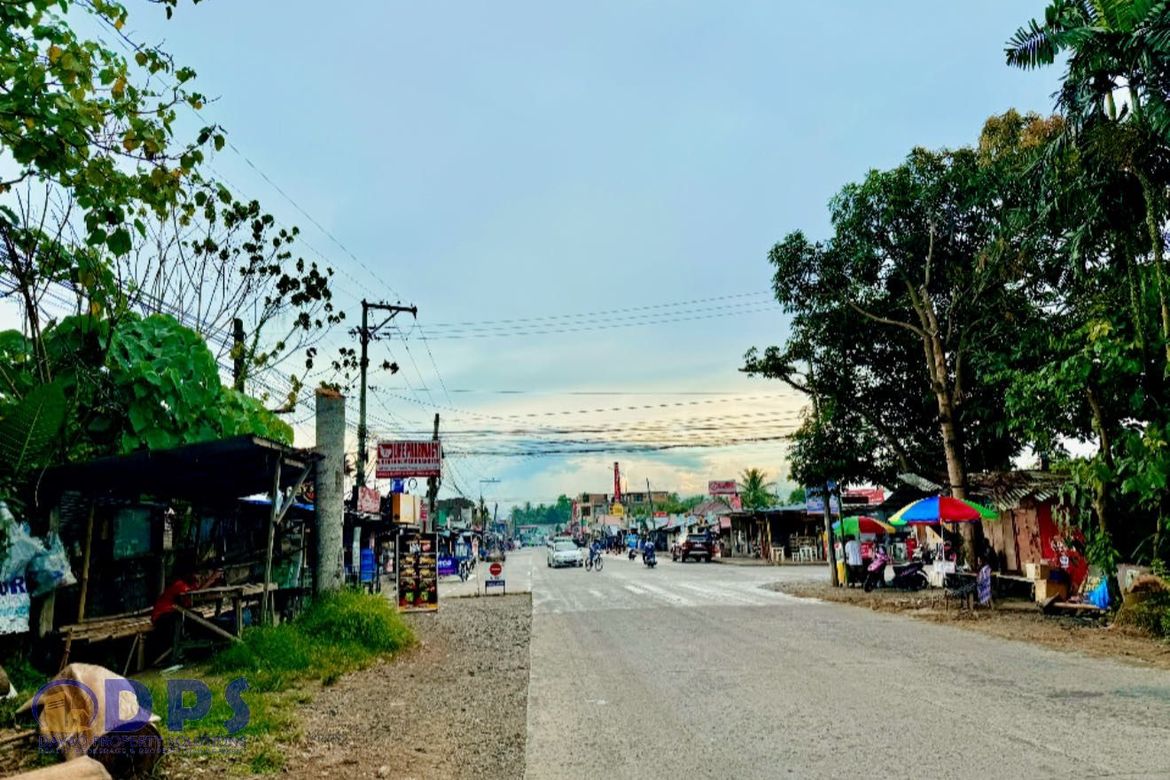 Land for Sale in San Miguel, Tagum, Davao del Norte – photo 4