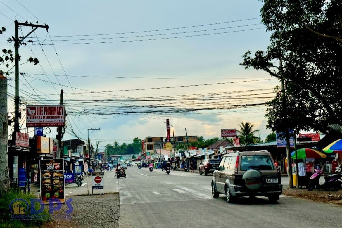 Land for Sale in San Miguel, Tagum, Davao del Norte – photo 6