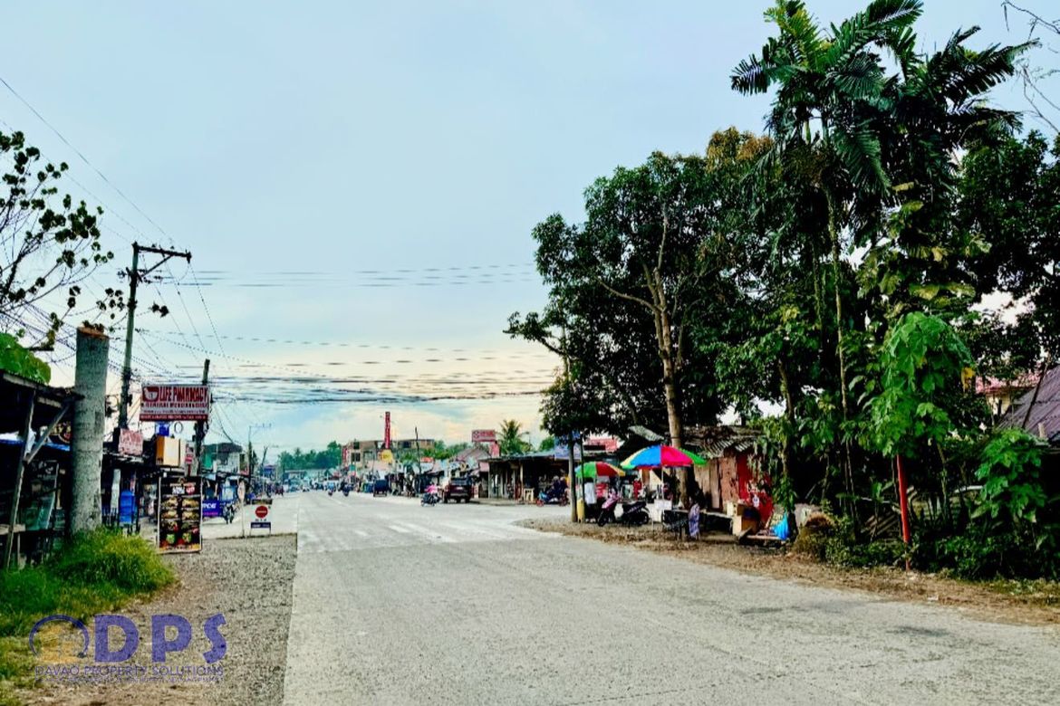 Land for Sale in San Miguel, Tagum, Davao del Norte – photo 7