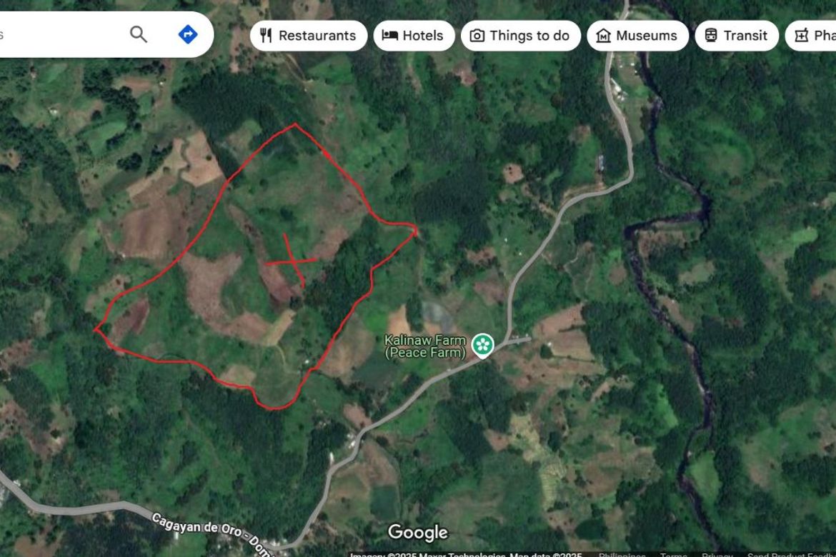 Land for Sale in San Miguel, Talakag, Bukidnon