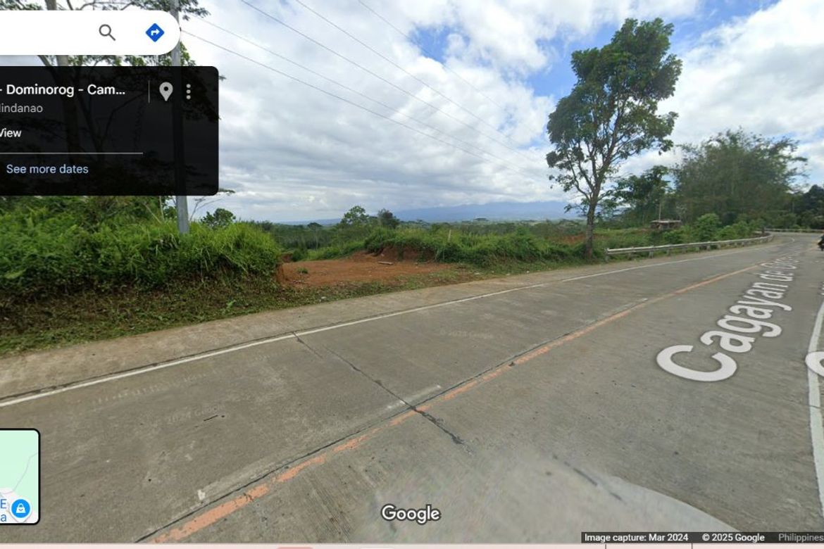 Land for Sale in San Miguel, Talakag, Bukidnon – photo 2